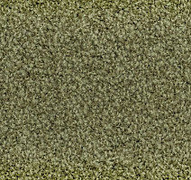 Ковролин Vorwerk Exclusive1009/Elara 4f75 фото 1 | FLOORDEALER